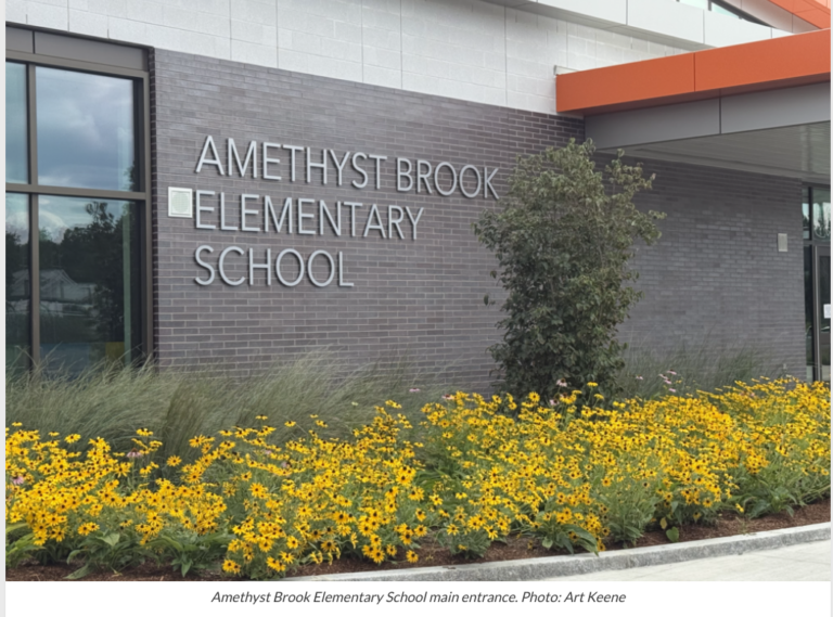 Amethyst Brook